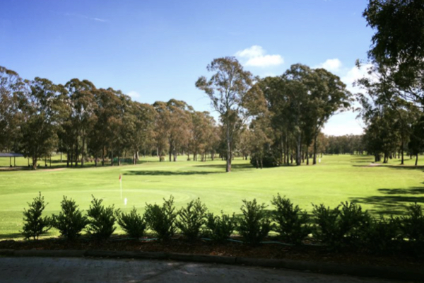 Fairfield Golf