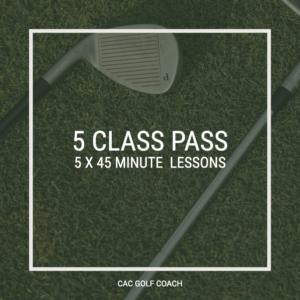 Golf Lesson Individual 5 X 45